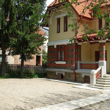 Pensiunea Micsunica Σινάια Εξωτερικό φωτογραφία