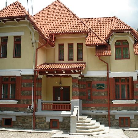 Pensiunea Micsunica Σινάια Εξωτερικό φωτογραφία