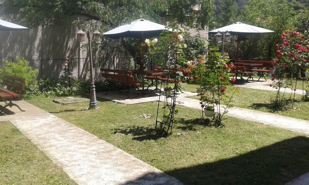 Pensiunea Micsunica Σινάια Εξωτερικό φωτογραφία